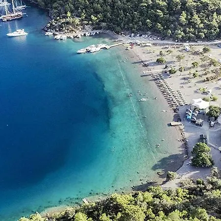 Lejlighed Seaview Holiday In