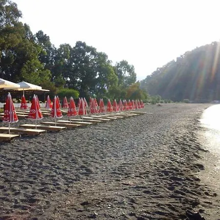 Seaview Holiday In Lejlighed *